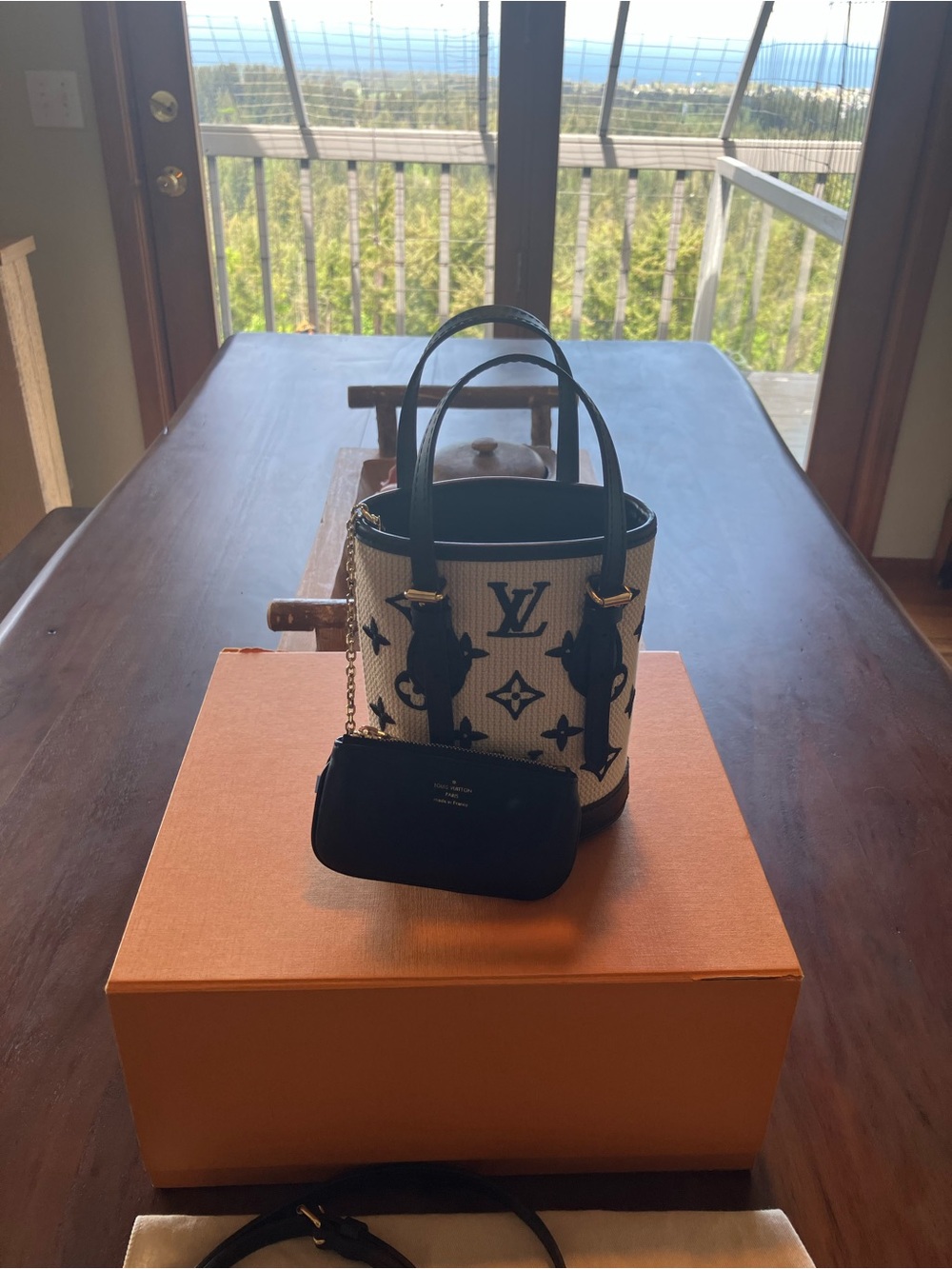 Louis Vuitton  by the pool nano Bucket tote Cream and Black like new! - Picture 5 of 13